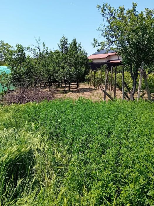 Vand Teren intravilan Valea Calugareasca - 800m2
