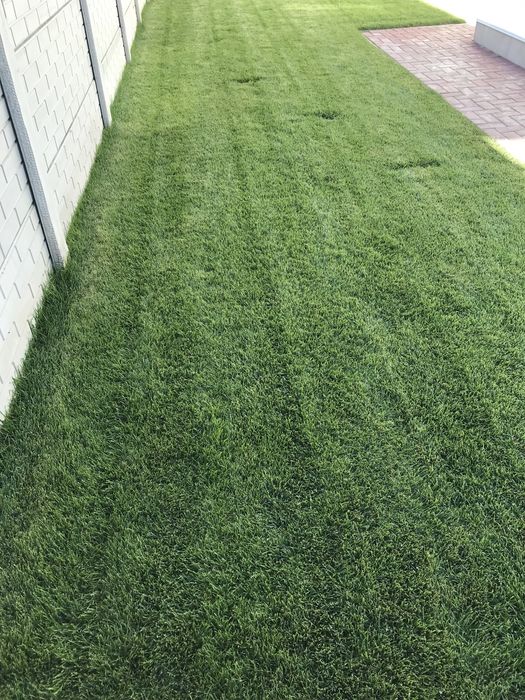 Gazon  Natural    Sisteme  irigatii