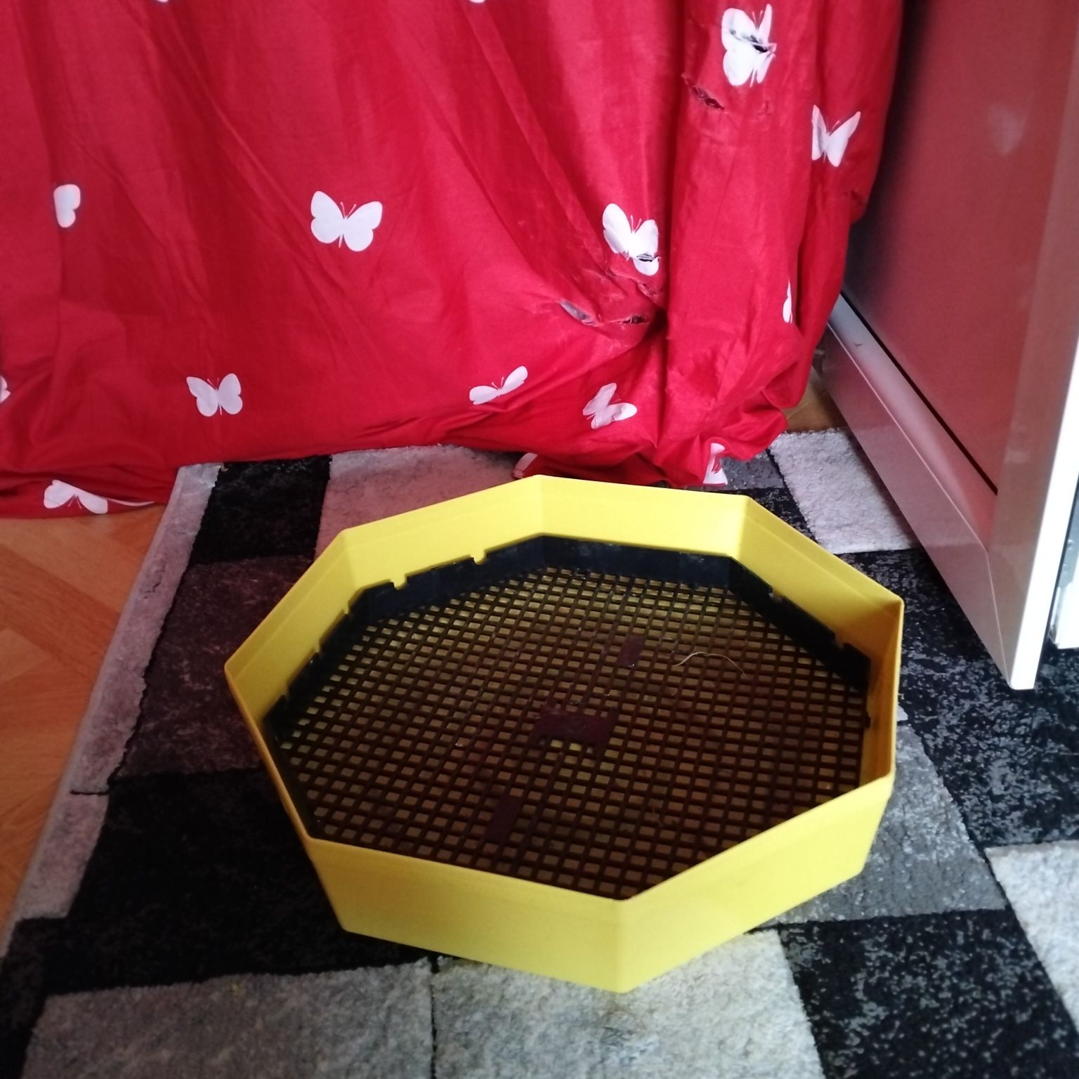 Vând incubator de oua  60 de buc