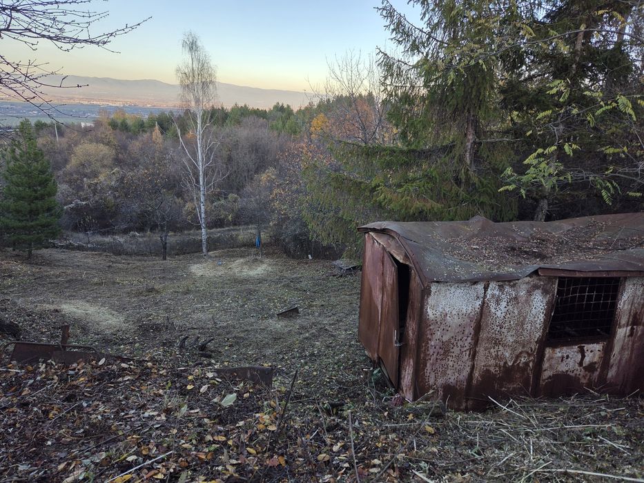 Почистване на запустели парцели и имоти