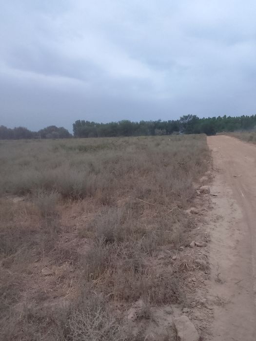 Срочно продам участок КХ 50соток