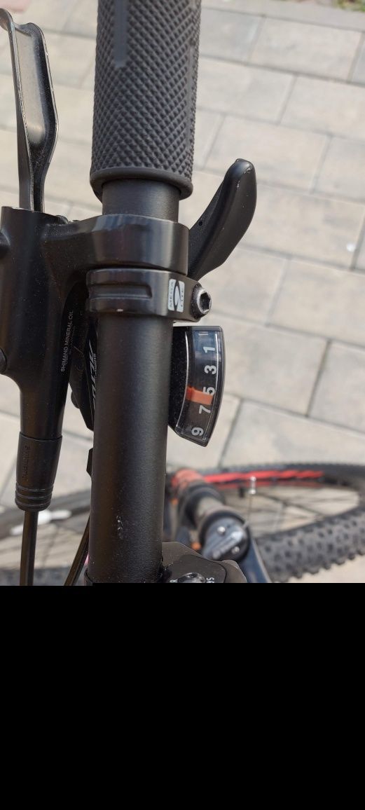 Bicicletă focus pentru adulti