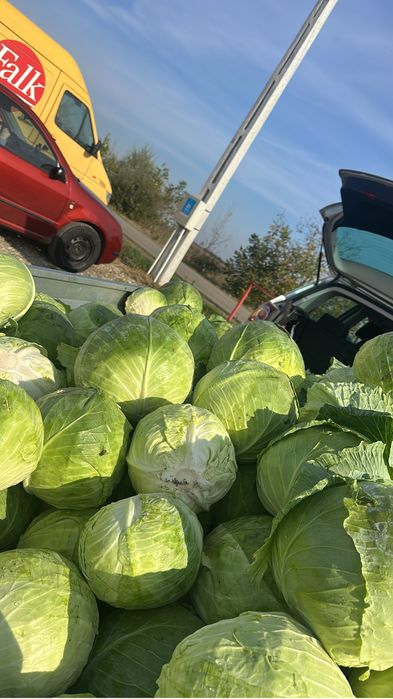 Varza escazu de vanzare