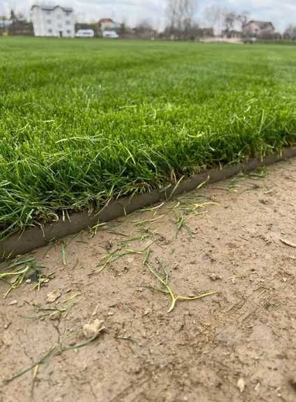 Gazon Rulou Sport sau Rustic