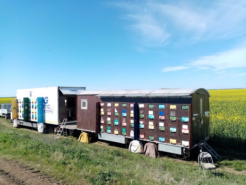 Vând pavilion apicol remorca