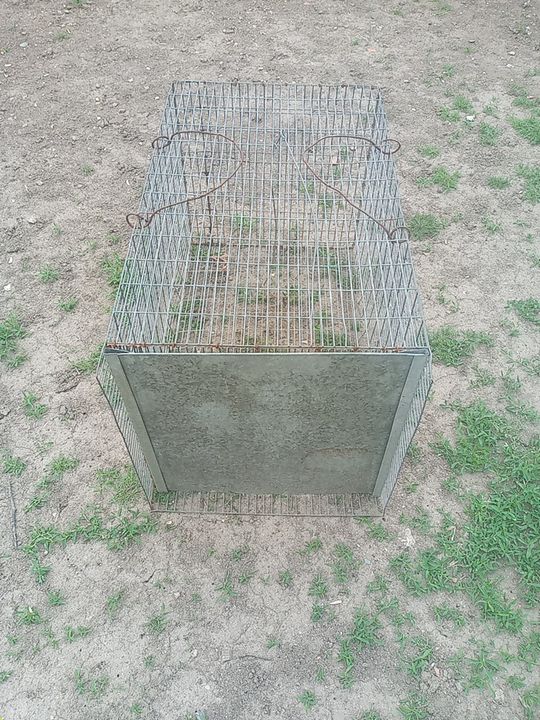 Vând capcana pentru păsări