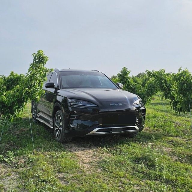 BYD song plus champion 605