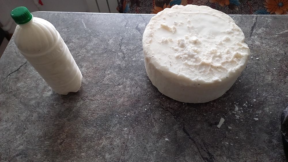 Продам говяжий и козий жир