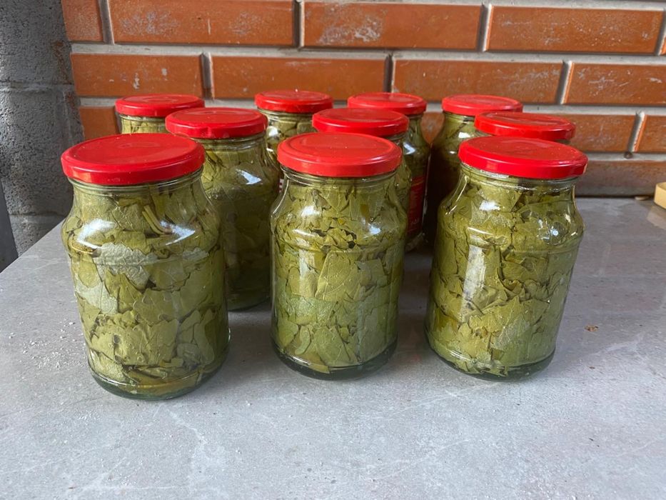 Виноградные листья листья винограда