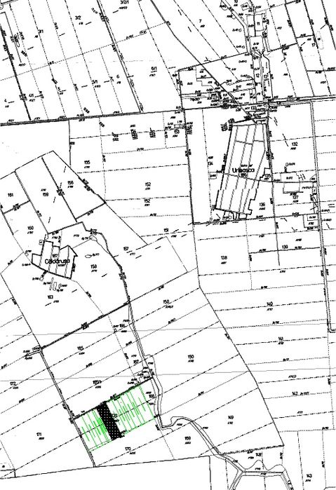 Teren Agricol Extravilan 10 Ha Urleasca Braila