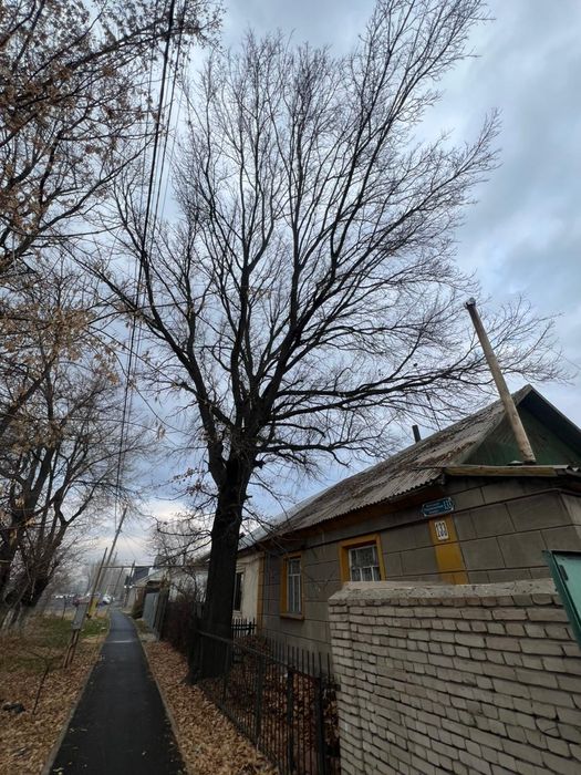 Губ тал сатылады