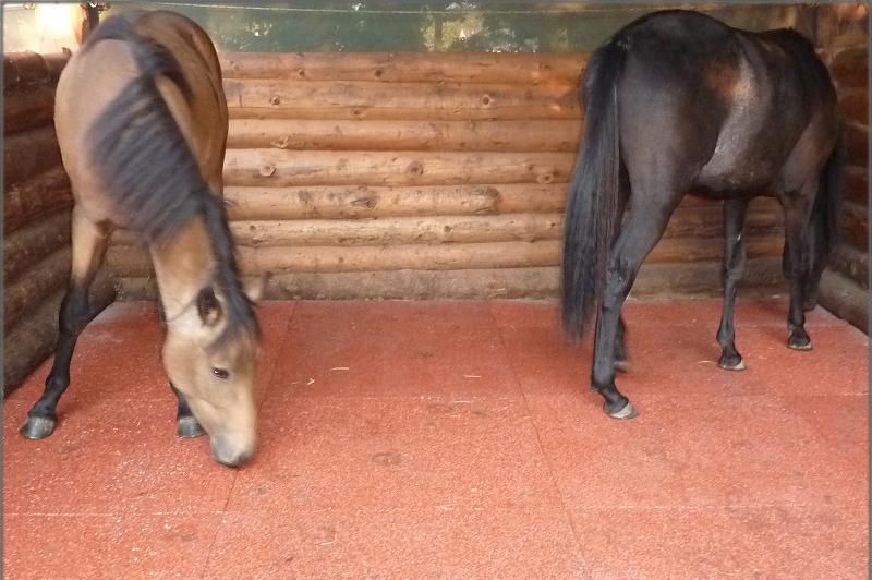 PRODUCATOR Dale cauciuc/tartan/pavele cauciu