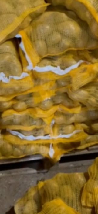 Фуражни картофи на едро