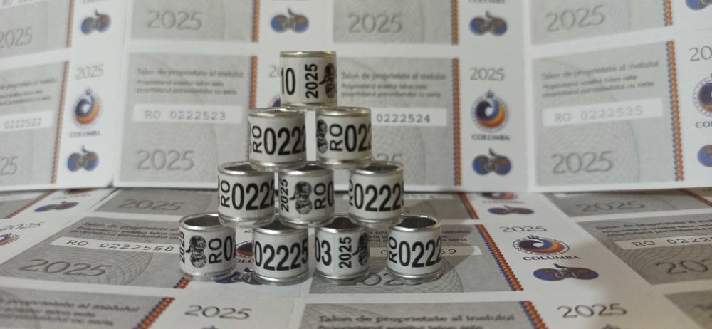 Vand Fci 2025 inele porumbei