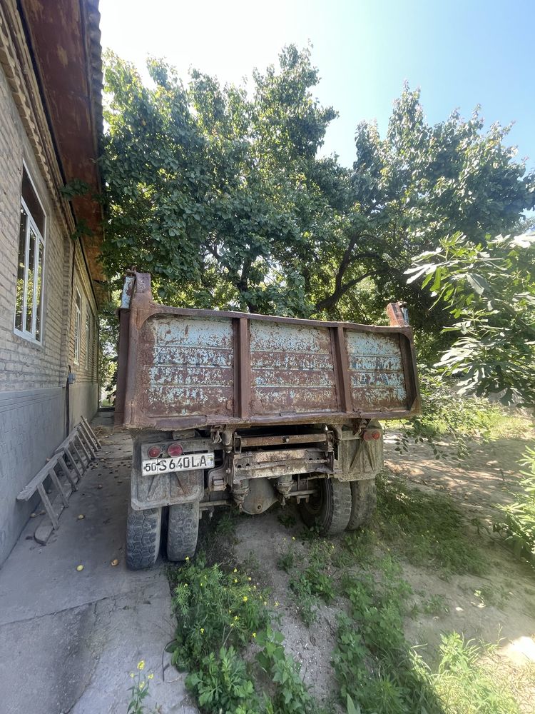 qaraydigo payti kib qogan zilli yaxw qiziqadigonla
