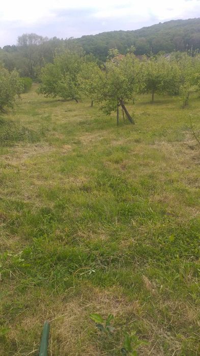 De vanzare teren intravilan Jibou - Strada Bailor