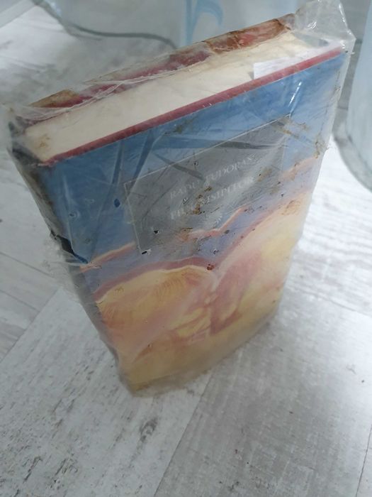 Radu Tudoran - Fiul risipitor. Sigilat! Colecția Jurnalul național