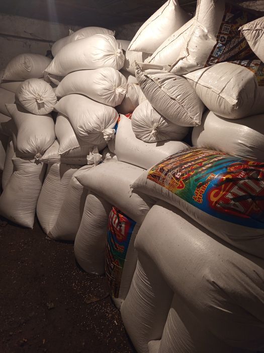 Продаем ячмень мешки по 50 кг.