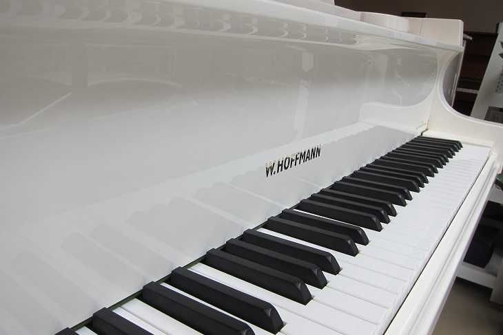 НОВ европейски роял W.HOFFMANN - T177 + C.Bechstein Connect