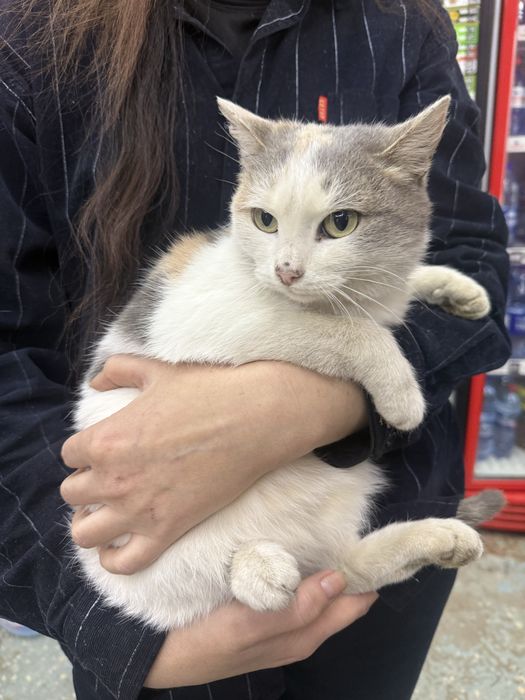 Беленькая девочка