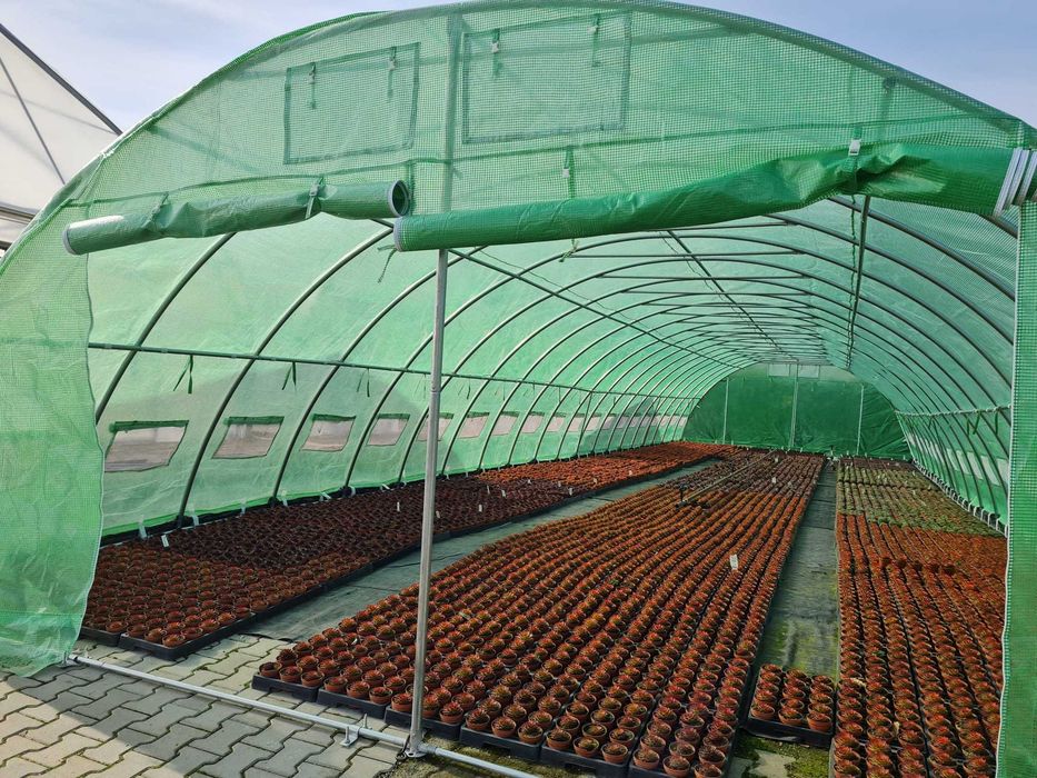 2x2m-8x20m - SOLAR  Sere SERA SolariI/ NOI / CORTURI24.RO