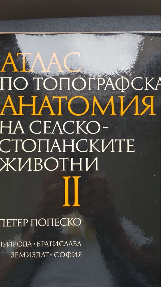 Атлас по топографска анатомия на селско-стопанските животни