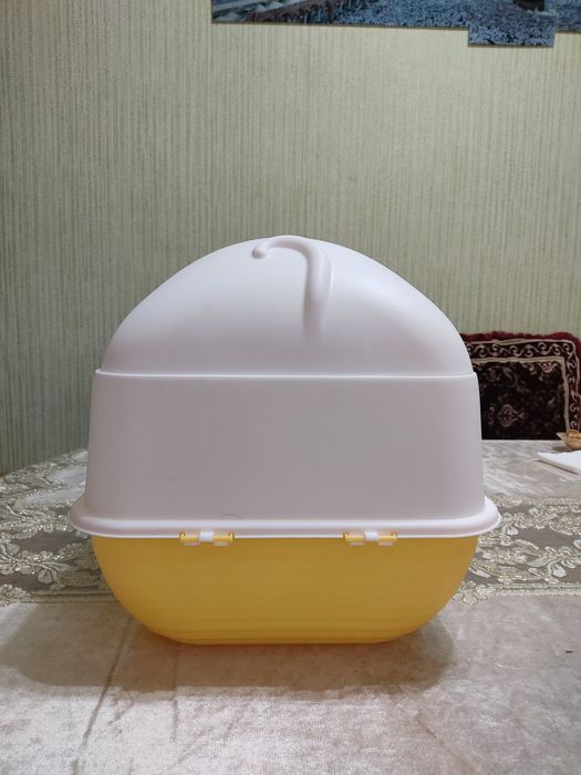 Latok (yopiq) Mushuklar uchun