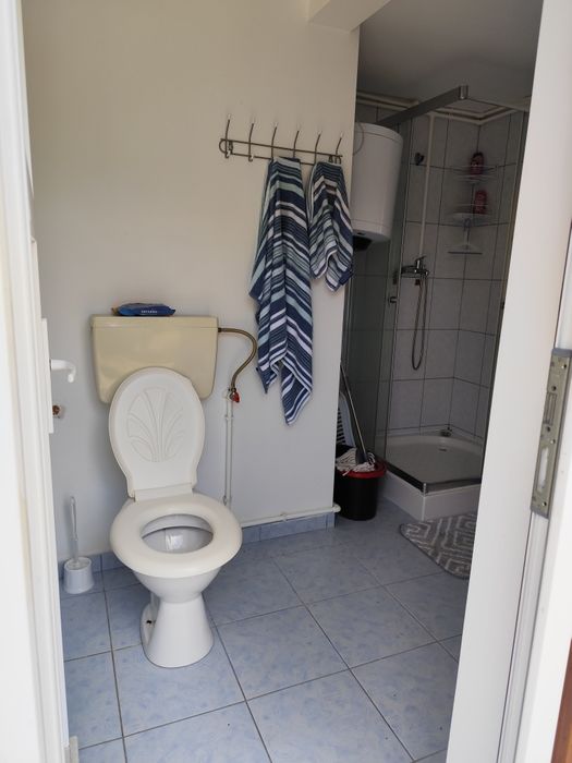 Casa vacanta sat Cojesti, com. Belciugatele, jud. Calarasi