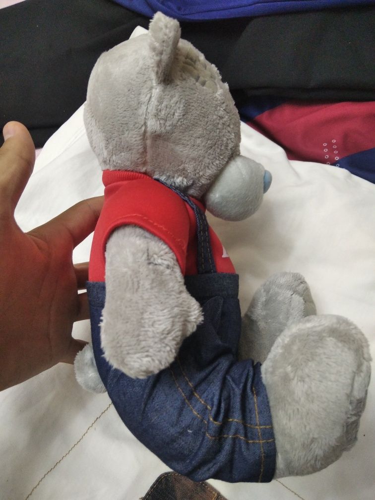 Yumshoq o'yinchoq .Teddy Bear