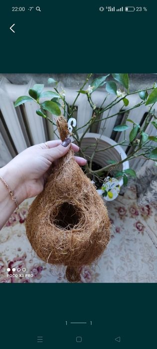 Гнездо .натурального из кокос