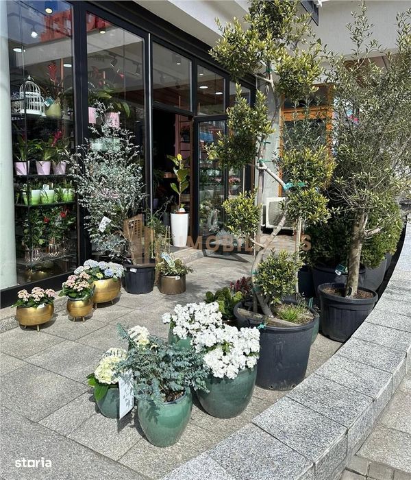 Afacere la cheie - Florarie cu traditie, pozitionata central