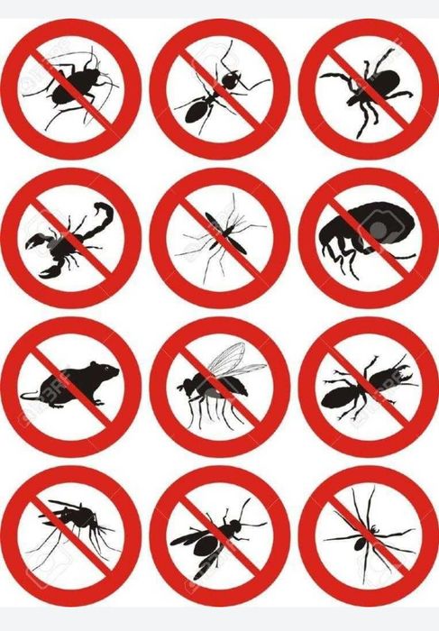 Дезенфексия дезенфексия қиламиз ишимизга гарантия берамиз!!!