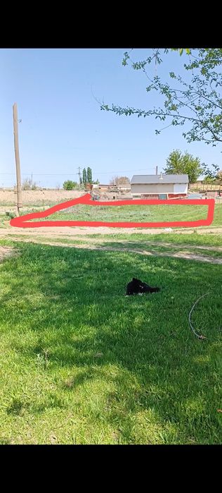 Участок с.Кольди. ПКСТ Елимай Агро