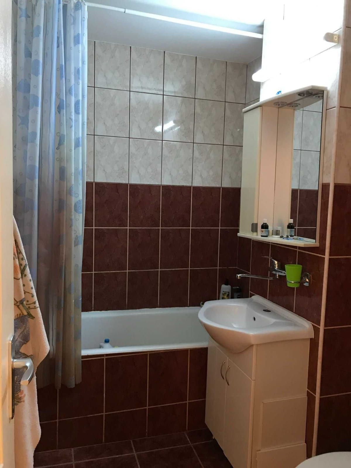 Apartament de vanzare pe  Titulescu