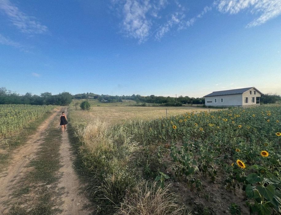 Teren intravilan lângă pădure