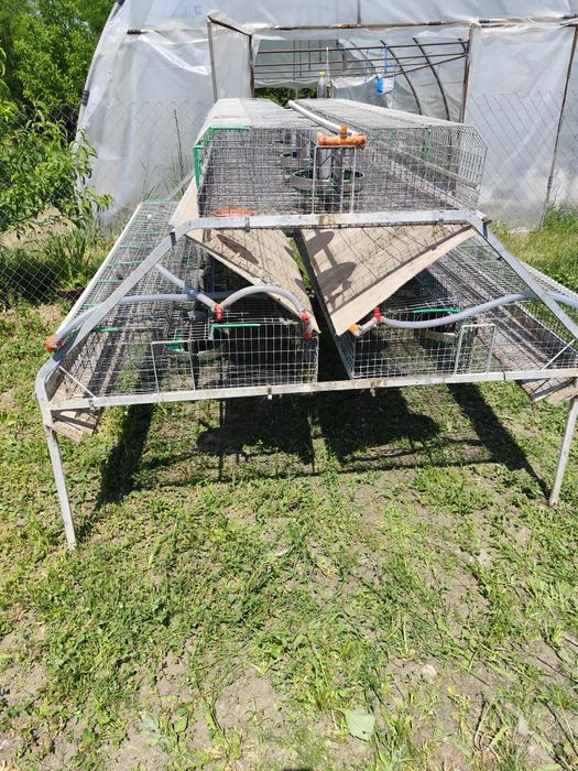 Cușcă iepuri ingrasare