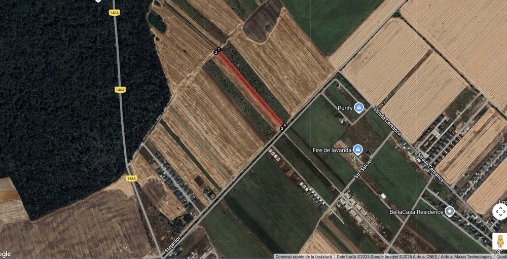 Teren de casa Sabareni linga padure 10 minute pina in Bucuresti