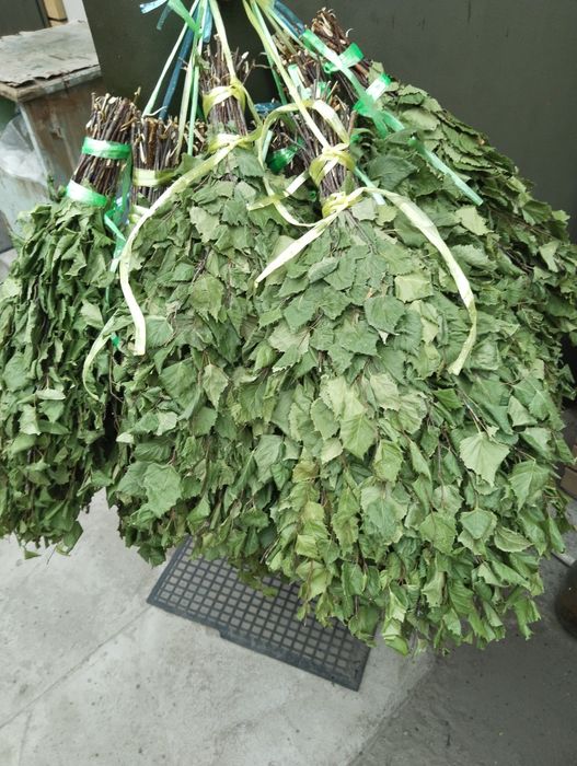 Березовый веник новый этого года.