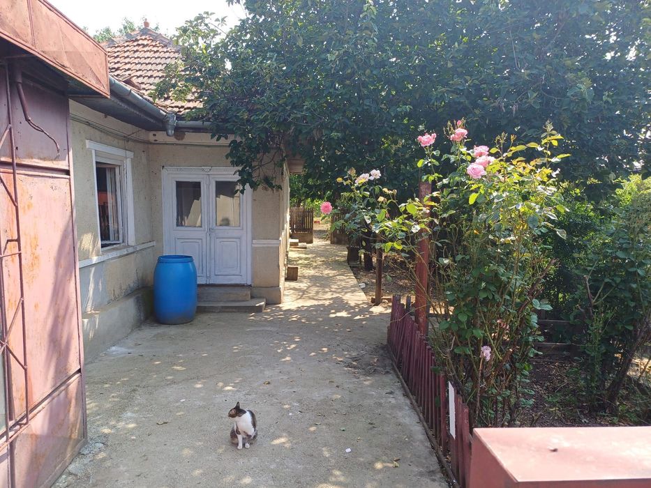 Vând teren cu casa bătrânească (cărămidă)