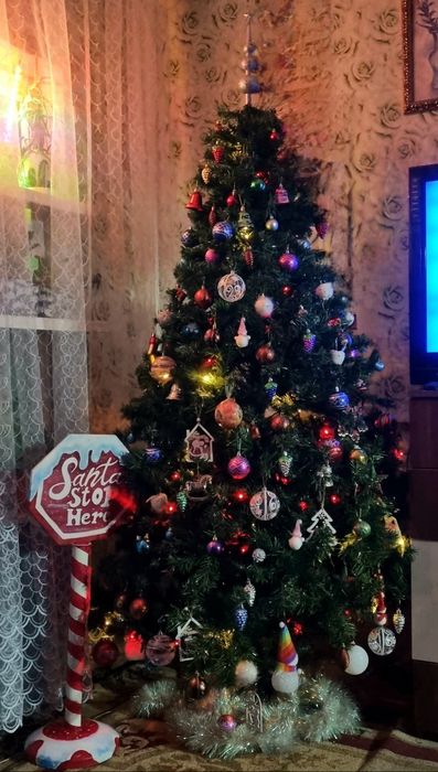 Ёлка новогодняя, новогодняя ель