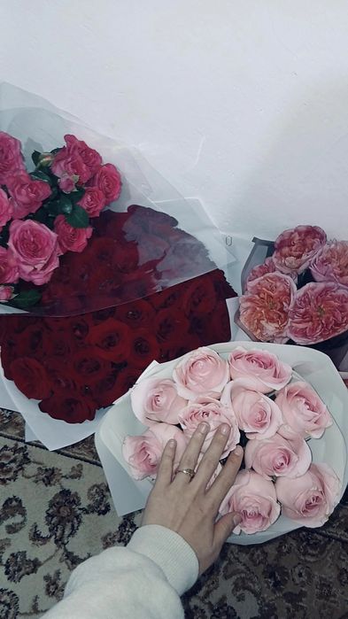 Цветы. Розы 50-55шт. Кустовые розы 12шт.  Розы