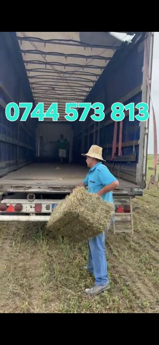 Baloti lucerna c2 min 500 400 cu transport inclus 21 lei bucata. 

Bal