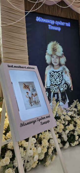 Led molbert лед молберд