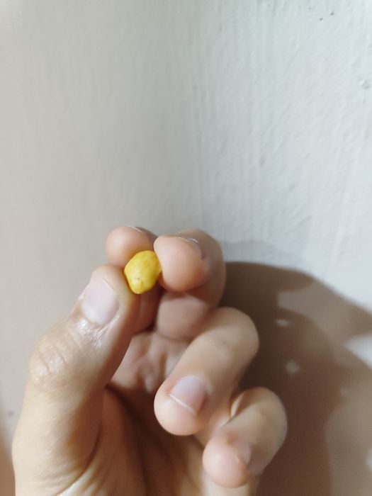 Хлопье в виде лимона, очень редкое