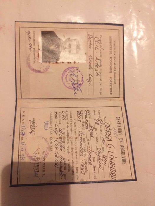 Carnet-Certificat Absolvire An 1969,vechi 53 ani,vintage,colectie