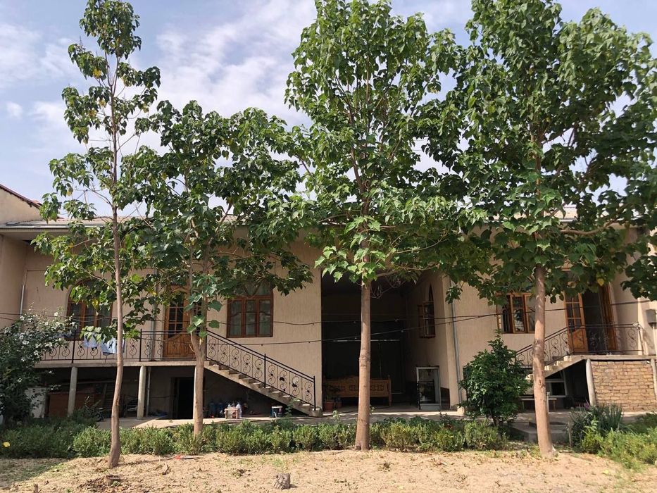 Авлиё ота, Ташкентский район! Дом 6 соток 5 комнат