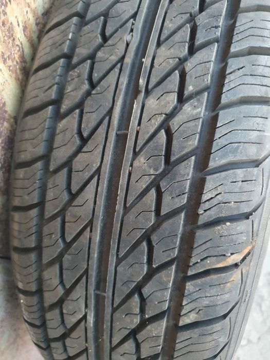 Новая шина KAMA R14