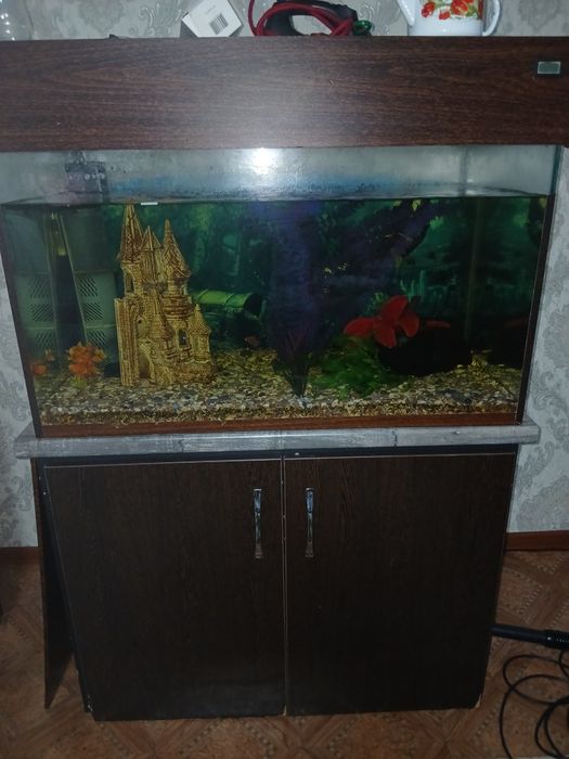 Продам Аквариум 300литров