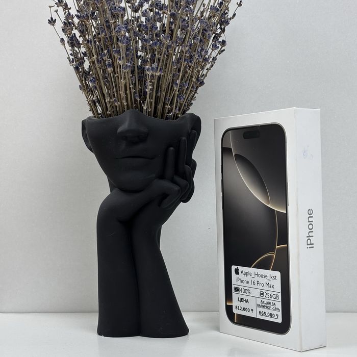 iPhone 16 Pro Max, 256gb