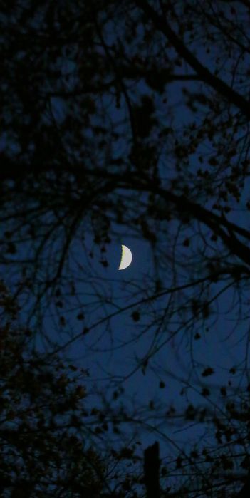 Фотосессия с профессиональным фотоаппаратом